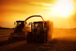 Le travail des producteurs de grains