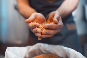 Pourquoi nourrir nos animaux avec des grains ?