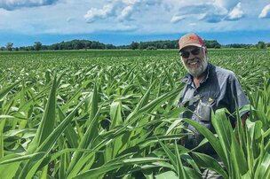 Les De Martin veillent au grain depuis trois générations