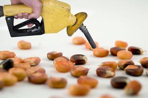 Quelques usages insoupçonnés des grains du Québec 